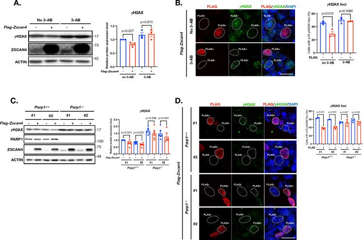 https://cdn.ncbi.nlm.nih.gov/pmc/blobs/2c15/10594928/a029119e491d/13578_2023_1140_Fig2_HTML.jpg