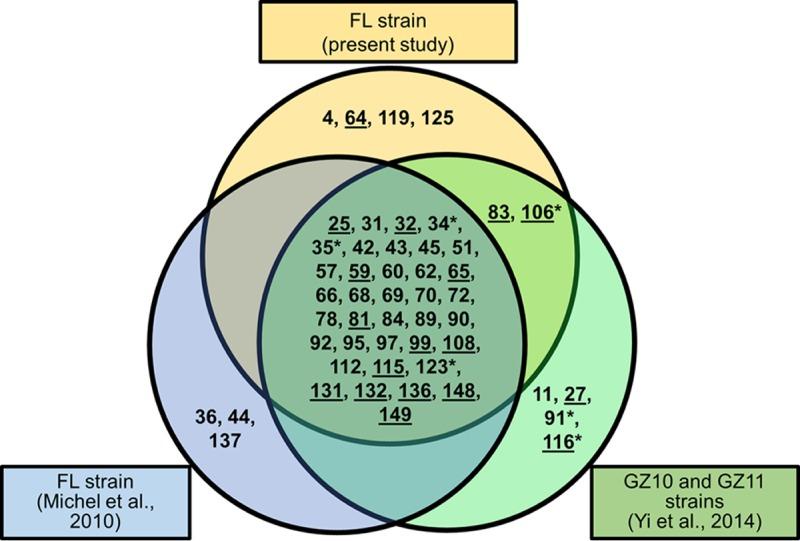 https://cdn.ncbi.nlm.nih.gov/pmc/blobs/2c15/5640863/08c5949abcfe/zjv9991830090001.jpg