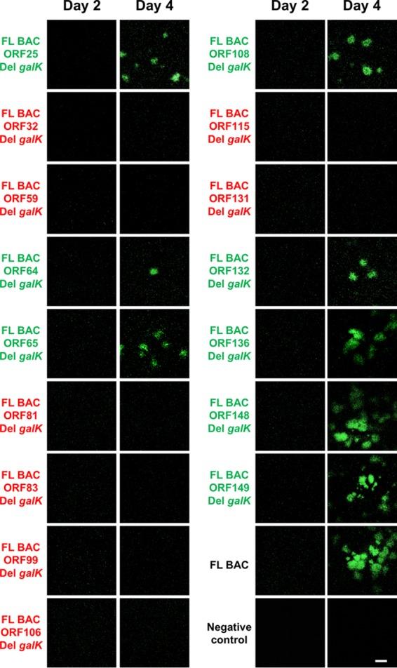 https://cdn.ncbi.nlm.nih.gov/pmc/blobs/2c15/5640863/37c039770088/zjv9991830090003.jpg