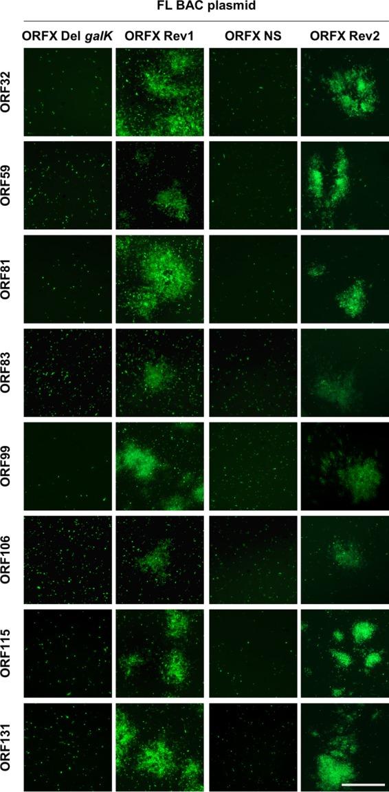 https://cdn.ncbi.nlm.nih.gov/pmc/blobs/2c15/5640863/76890aa4d7df/zjv9991830090004.jpg