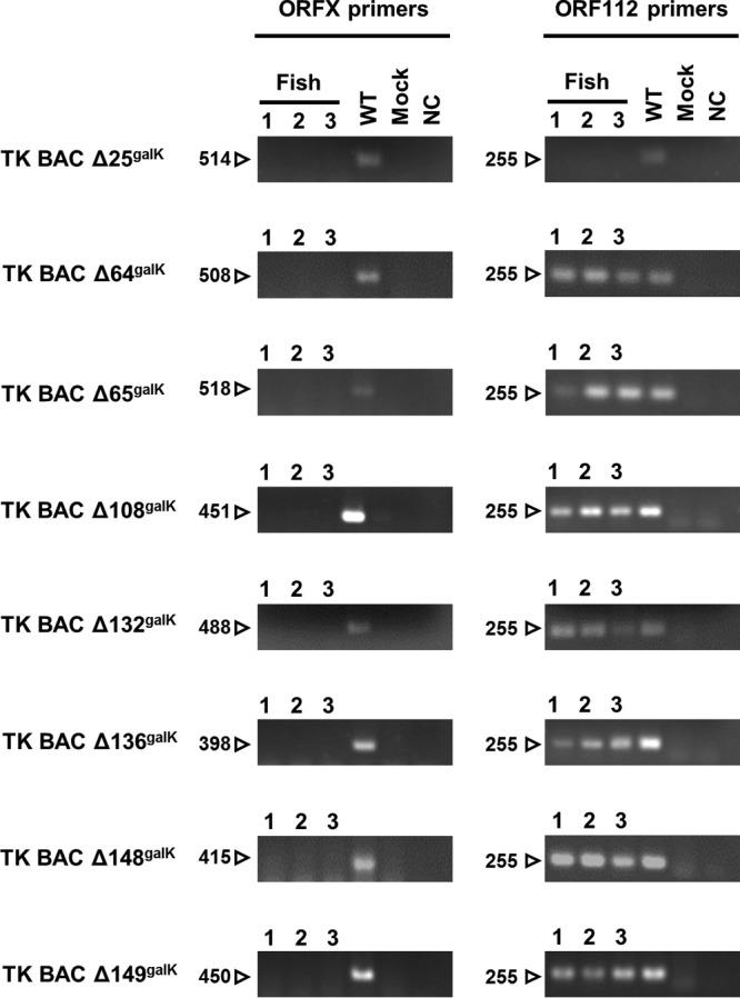 https://cdn.ncbi.nlm.nih.gov/pmc/blobs/2c15/5640863/7adc1c714970/zjv9991830090007.jpg