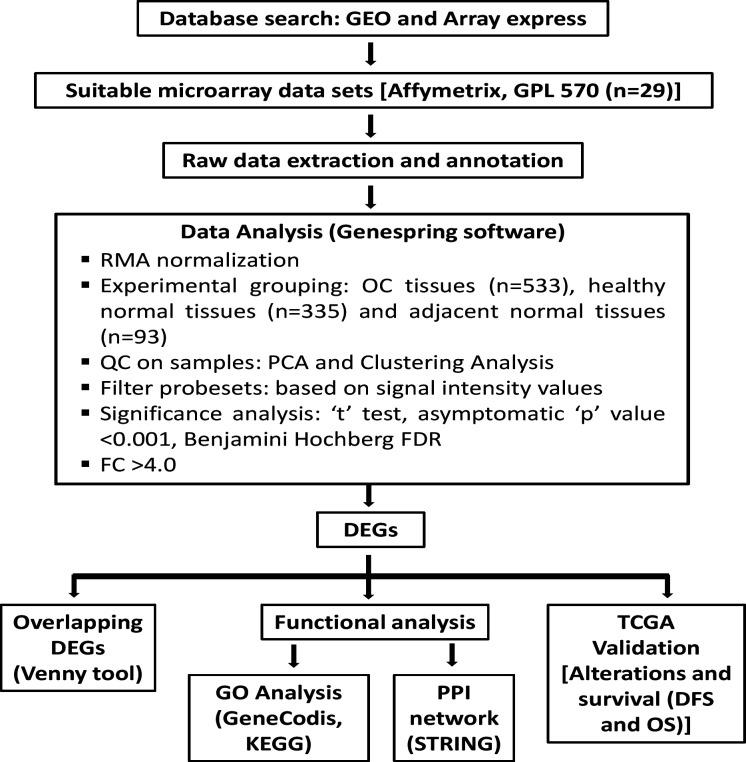 https://cdn.ncbi.nlm.nih.gov/pmc/blobs/2c15/8190349/df7efbab8028/APJCP-22-371-g001.jpg
