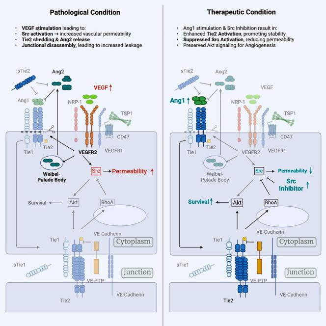 https://cdn.ncbi.nlm.nih.gov/pmc/blobs/2c17/12148613/28f25f81e4f0/fx1.jpg