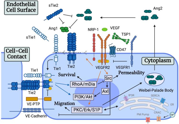 https://cdn.ncbi.nlm.nih.gov/pmc/blobs/2c17/12148613/a09dbb1bbde7/gr1.jpg