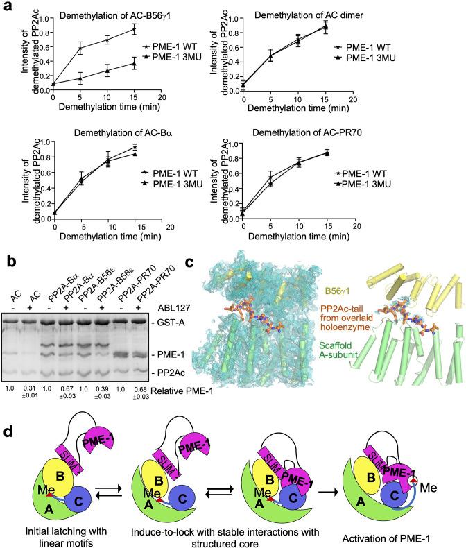 https://cdn.ncbi.nlm.nih.gov/pmc/blobs/2c19/9398451/7f97d3bca1d3/elife-79736-fig5.jpg