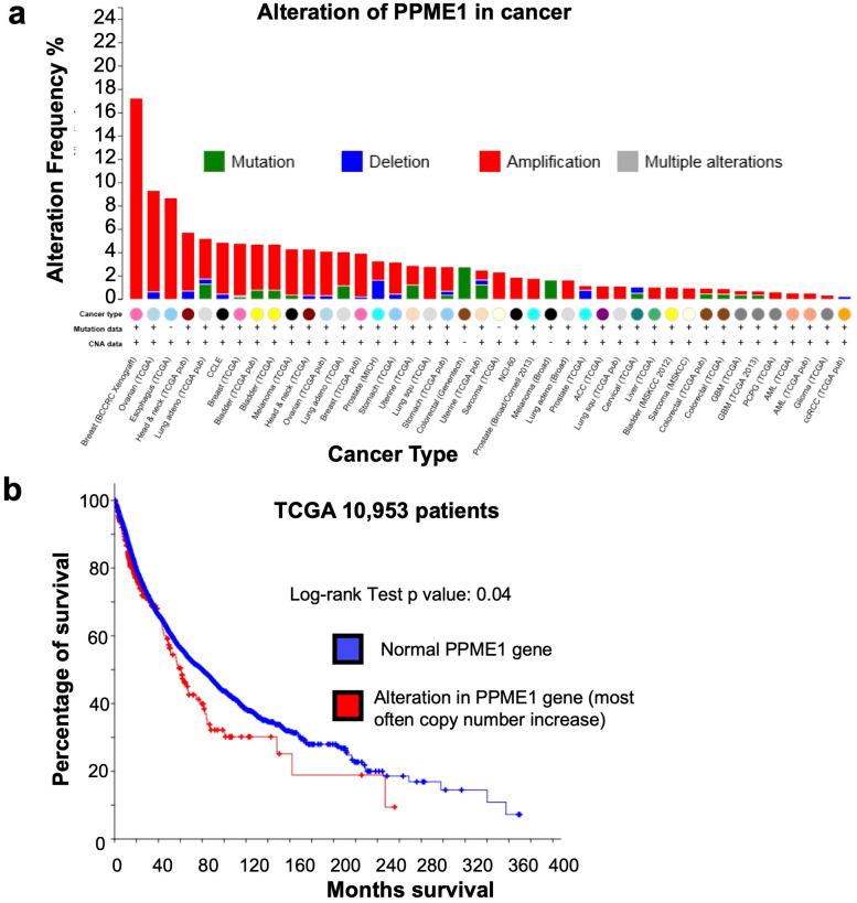 https://cdn.ncbi.nlm.nih.gov/pmc/blobs/2c19/9398451/ab15d77ac969/elife-79736-fig6-figsupp1.jpg