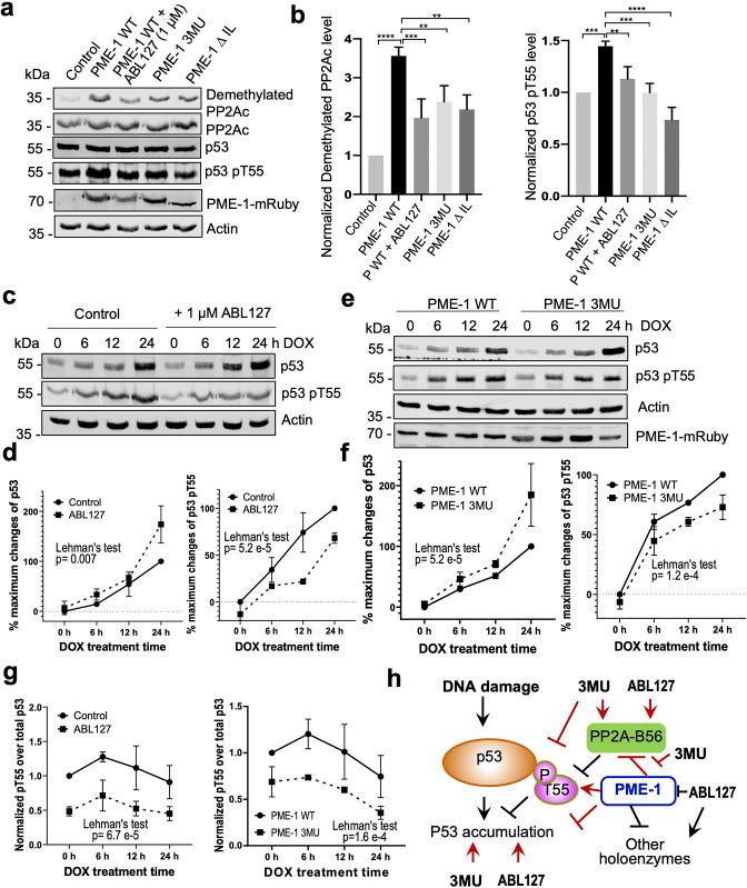 https://cdn.ncbi.nlm.nih.gov/pmc/blobs/2c19/9398451/d1261adc4fd5/elife-79736-fig6.jpg
