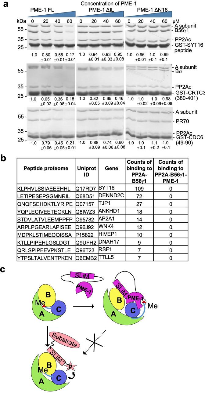 https://cdn.ncbi.nlm.nih.gov/pmc/blobs/2c19/9398451/f6ce2618a80d/elife-79736-fig2-figsupp3.jpg