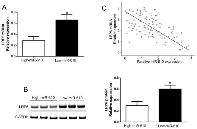 https://cdn.ncbi.nlm.nih.gov/pmc/blobs/2c1a/5722568/54e0fa8ce4b0/oncotarget-08-97361-g006.jpg