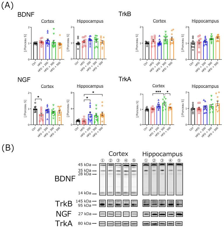 https://cdn.ncbi.nlm.nih.gov/pmc/blobs/2c1b/9101427/db5009142143/nutrients-14-01794-g004.jpg