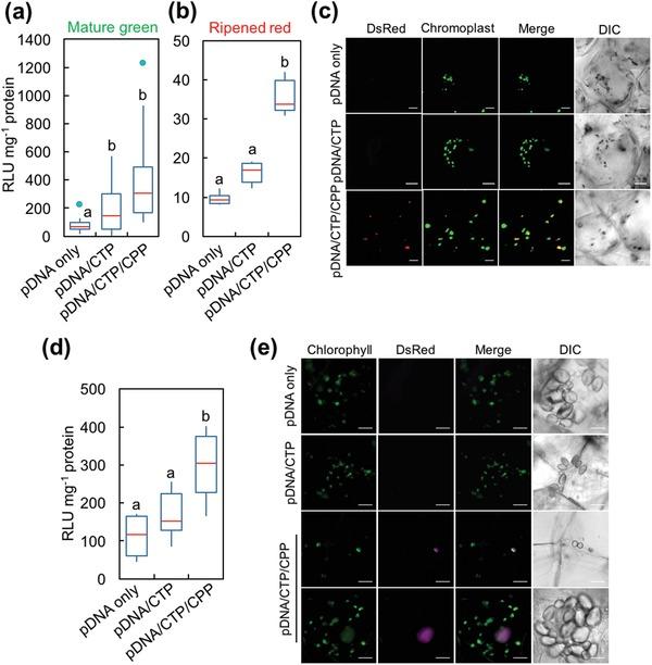 https://cdn.ncbi.nlm.nih.gov/pmc/blobs/2c1f/6891901/f0aecd3b304a/ADVS-6-1902064-g004.jpg