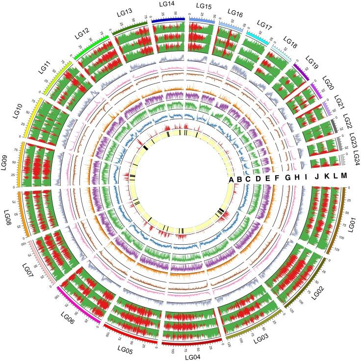 https://cdn.ncbi.nlm.nih.gov/pmc/blobs/2c1f/9007161/38b7ca7e5b6b/msac064f6.jpg