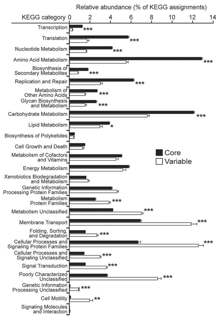 https://cdn.ncbi.nlm.nih.gov/pmc/blobs/2c22/2677729/f70ccd086a21/nihms74182f4.jpg