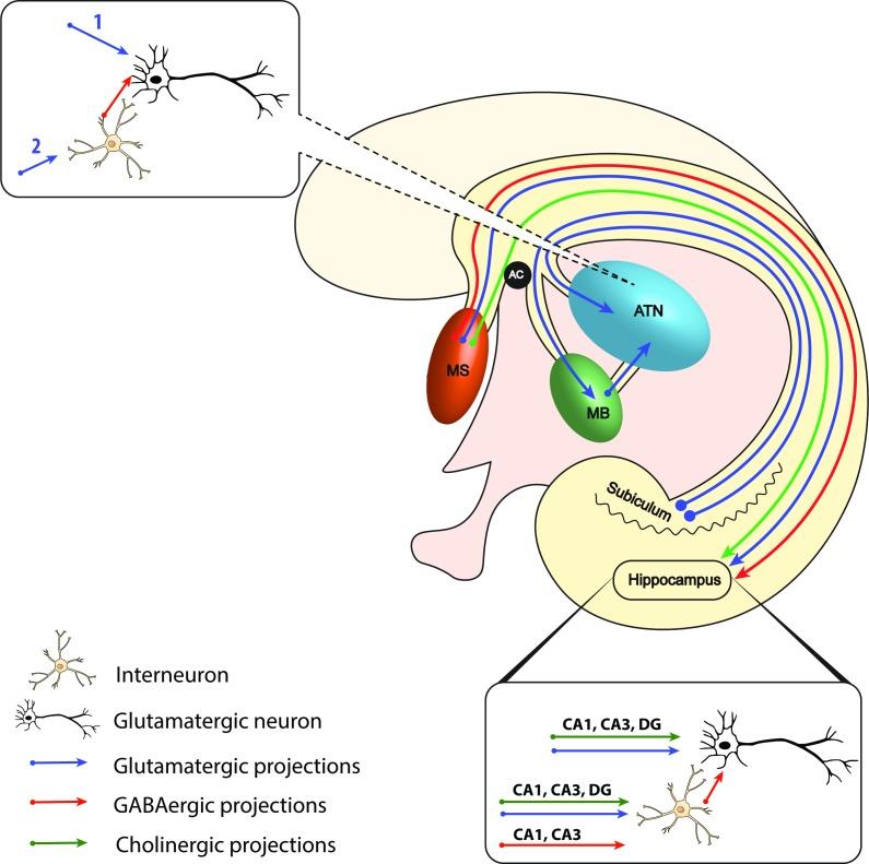 https://cdn.ncbi.nlm.nih.gov/pmc/blobs/2c22/7231447/f131c6ed2a97/jnnp-2019-322375f02.jpg
