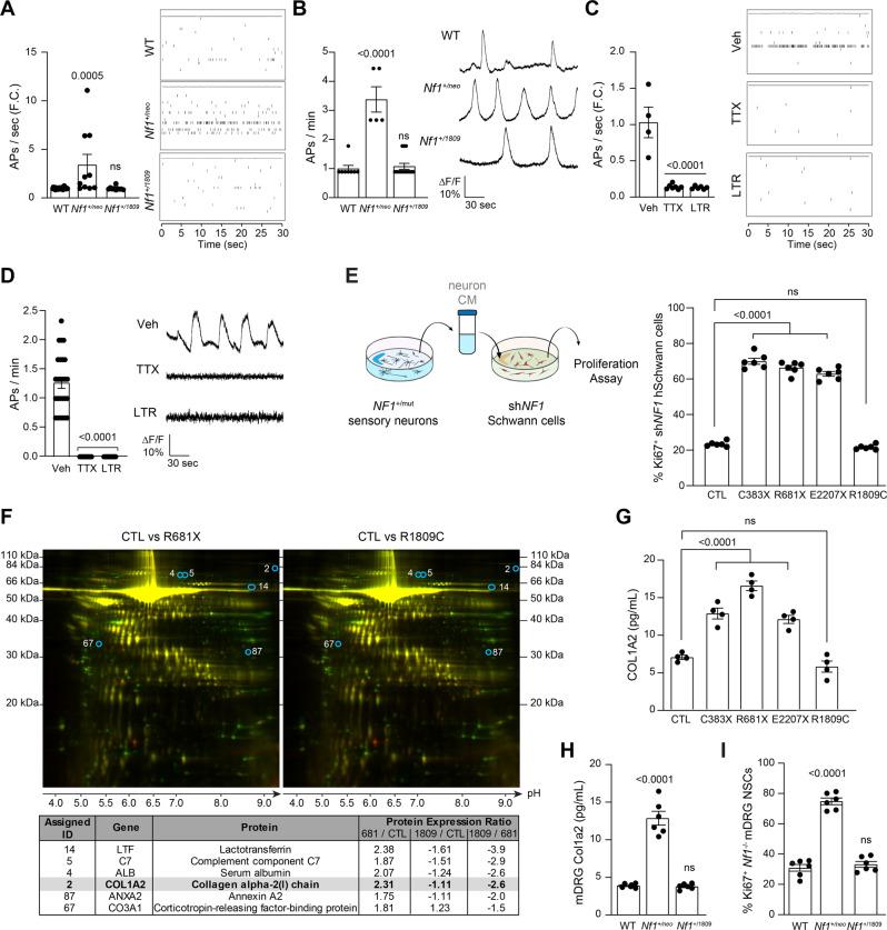 https://cdn.ncbi.nlm.nih.gov/pmc/blobs/2c23/9120229/35b182f328f7/41467_2022_30466_Fig5_HTML.jpg