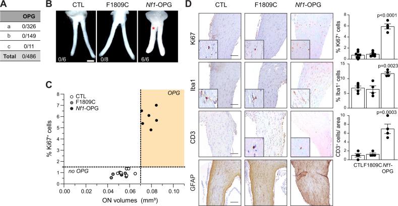 https://cdn.ncbi.nlm.nih.gov/pmc/blobs/2c23/9120229/49e0fcdcb8c7/41467_2022_30466_Fig1_HTML.jpg