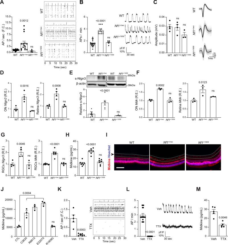 https://cdn.ncbi.nlm.nih.gov/pmc/blobs/2c23/9120229/65e7986052f1/41467_2022_30466_Fig2_HTML.jpg
