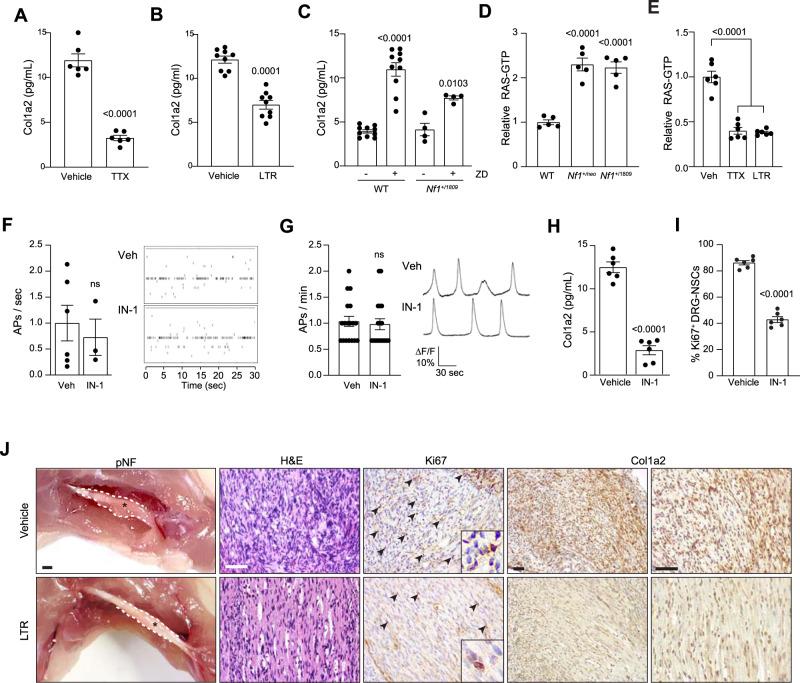 https://cdn.ncbi.nlm.nih.gov/pmc/blobs/2c23/9120229/85baeacf6aac/41467_2022_30466_Fig7_HTML.jpg