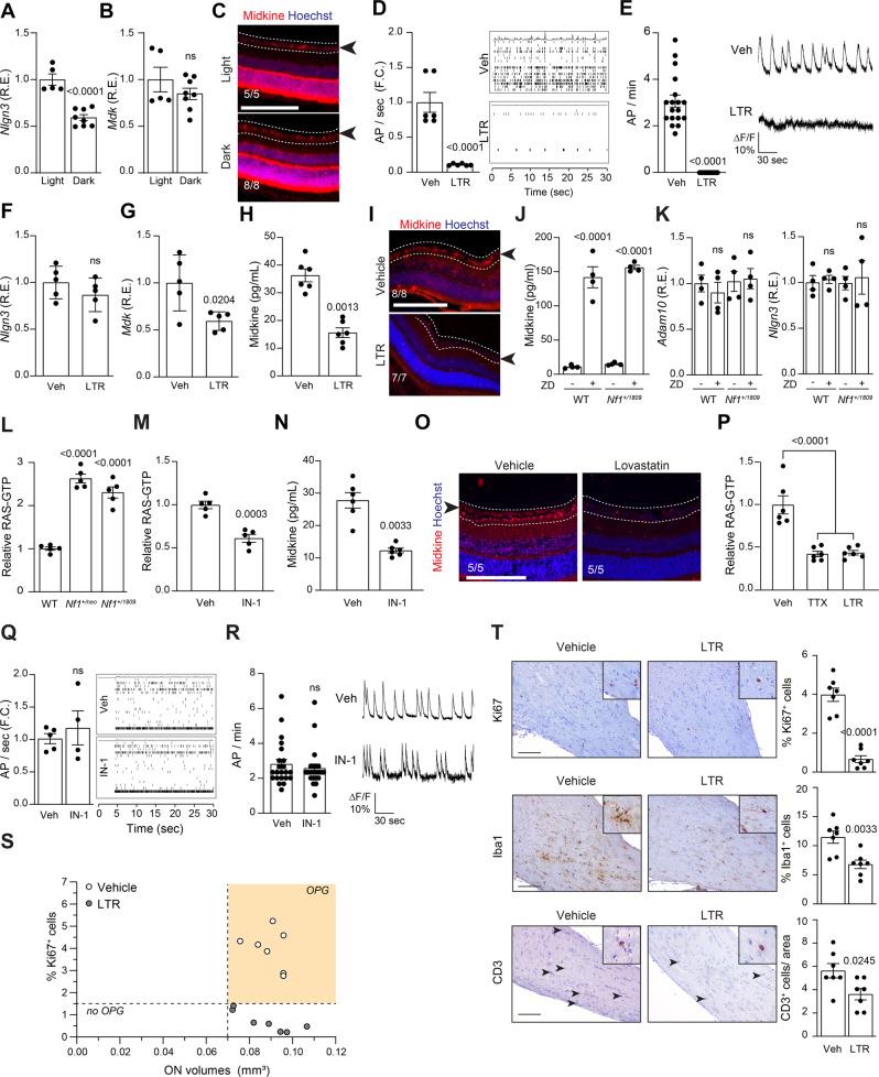 https://cdn.ncbi.nlm.nih.gov/pmc/blobs/2c23/9120229/dbc100045926/41467_2022_30466_Fig3_HTML.jpg