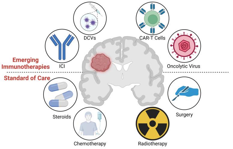 https://cdn.ncbi.nlm.nih.gov/pmc/blobs/2c24/10623138/3e3698ac7a00/fimmu-14-1261257-g001.jpg
