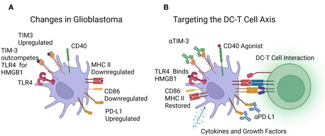 https://cdn.ncbi.nlm.nih.gov/pmc/blobs/2c24/10623138/567387feb5dd/fimmu-14-1261257-g002.jpg