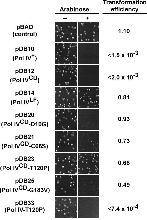https://cdn.ncbi.nlm.nih.gov/pmc/blobs/2c24/4564189/a2ea9153ba94/pgen.1005507.g002.jpg