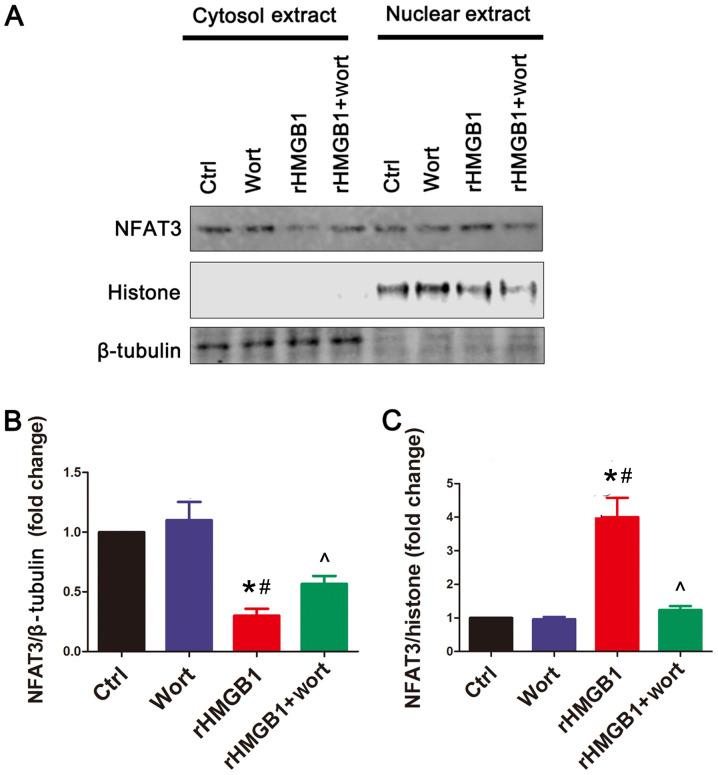 https://cdn.ncbi.nlm.nih.gov/pmc/blobs/2c24/7845624/ba21fc47d1c2/mmr-23-03-11853-g03.jpg