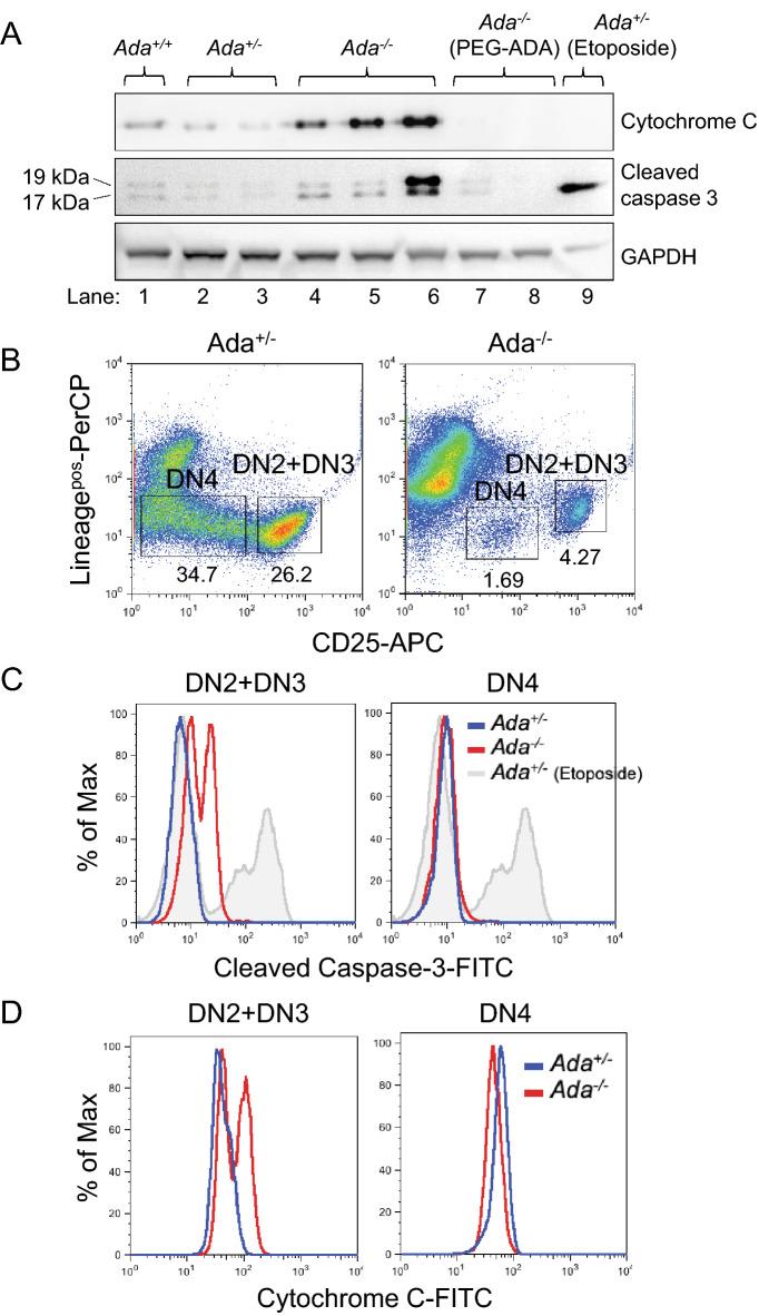 https://cdn.ncbi.nlm.nih.gov/pmc/blobs/2c24/8636570/48eb86d65772/41598_2021_2572_Fig3_HTML.jpg