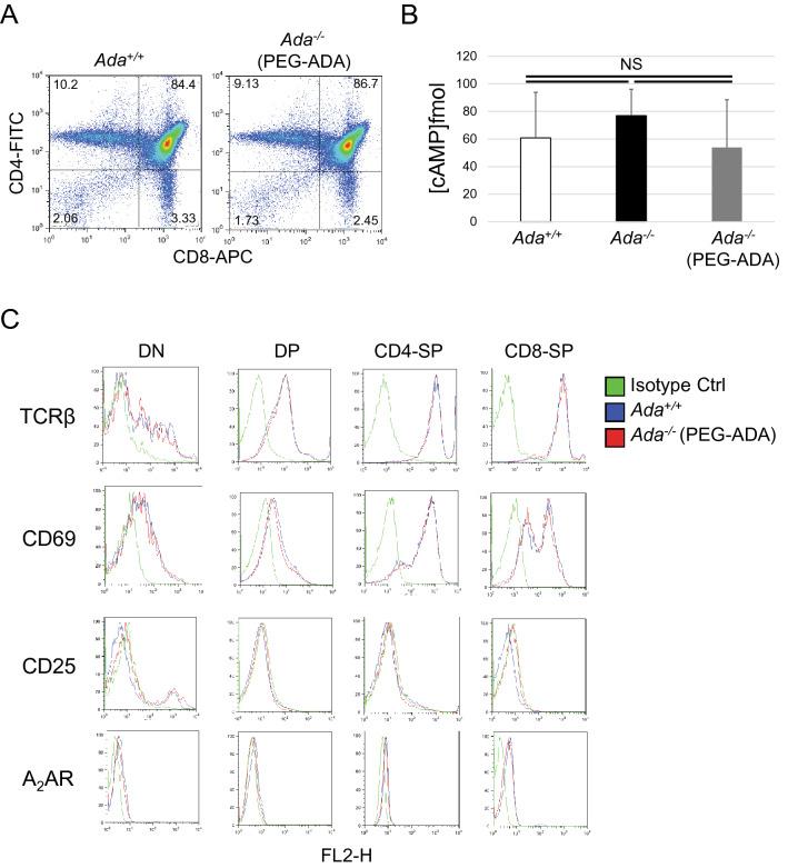 https://cdn.ncbi.nlm.nih.gov/pmc/blobs/2c24/8636570/49d180370420/41598_2021_2572_Fig6_HTML.jpg