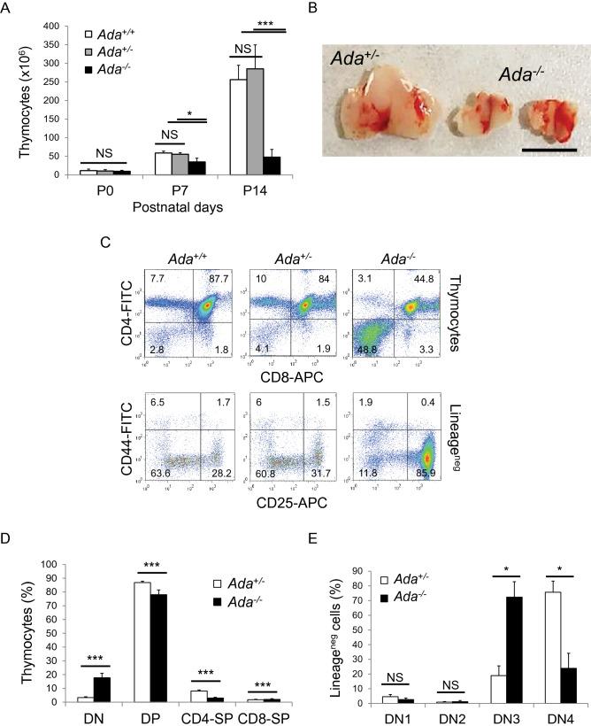 https://cdn.ncbi.nlm.nih.gov/pmc/blobs/2c24/8636570/aa5543333317/41598_2021_2572_Fig1_HTML.jpg