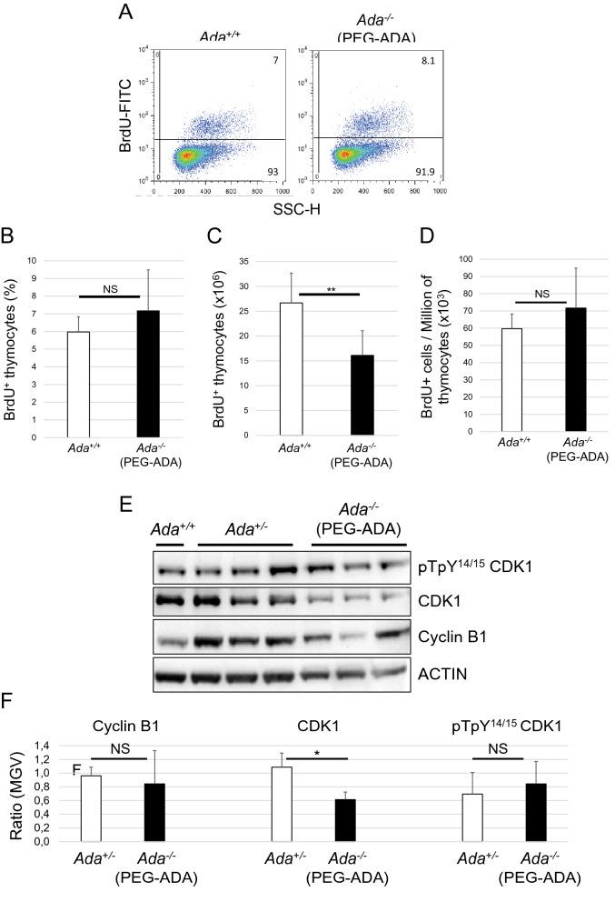 https://cdn.ncbi.nlm.nih.gov/pmc/blobs/2c24/8636570/ace754e6f4d9/41598_2021_2572_Fig7_HTML.jpg