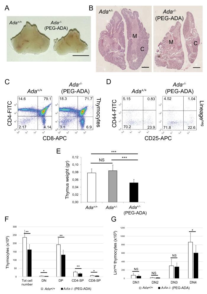 https://cdn.ncbi.nlm.nih.gov/pmc/blobs/2c24/8636570/cb4daad69ed2/41598_2021_2572_Fig4_HTML.jpg
