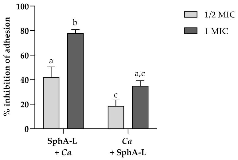 https://cdn.ncbi.nlm.nih.gov/pmc/blobs/2c26/11678014/8b4090676950/molecules-29-05949-g007.jpg