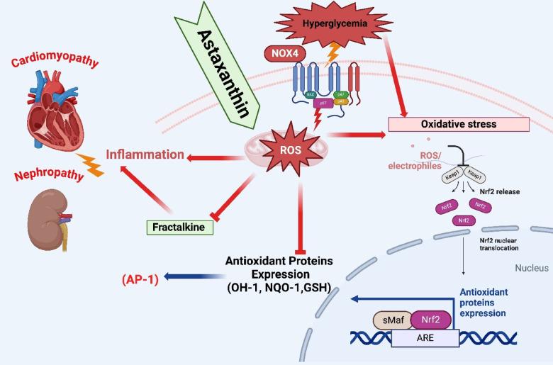 https://cdn.ncbi.nlm.nih.gov/pmc/blobs/2c26/12181436/1f847cd02d84/41598_2025_6263_Fig13_HTML.jpg
