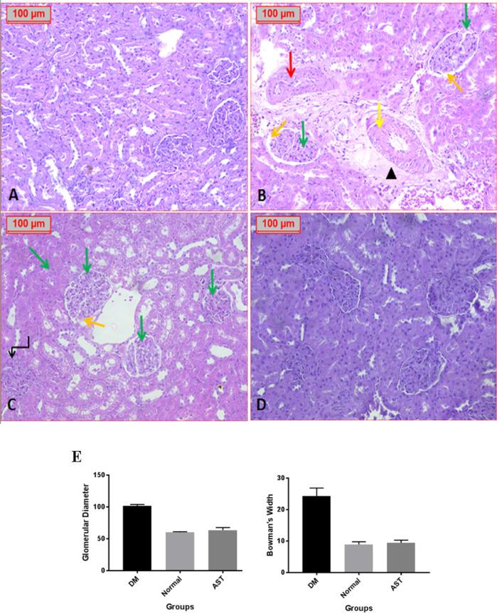 https://cdn.ncbi.nlm.nih.gov/pmc/blobs/2c26/12181436/b6c30e3ca34f/41598_2025_6263_Fig9_HTML.jpg