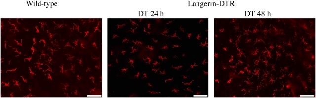 https://cdn.ncbi.nlm.nih.gov/pmc/blobs/2c26/2171694/d6331c999465/200501071f4.jpg