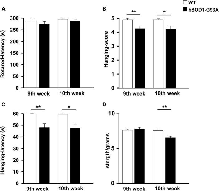 https://cdn.ncbi.nlm.nih.gov/pmc/blobs/2c27/10824952/f77ba0bafeed/fnmol-16-1333745-g001.jpg