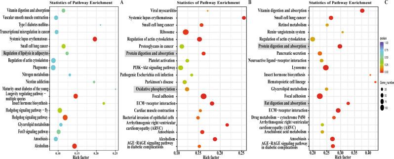 https://cdn.ncbi.nlm.nih.gov/pmc/blobs/2c29/11225295/0bf9d49a5179/40850_2024_206_Fig6_HTML.jpg