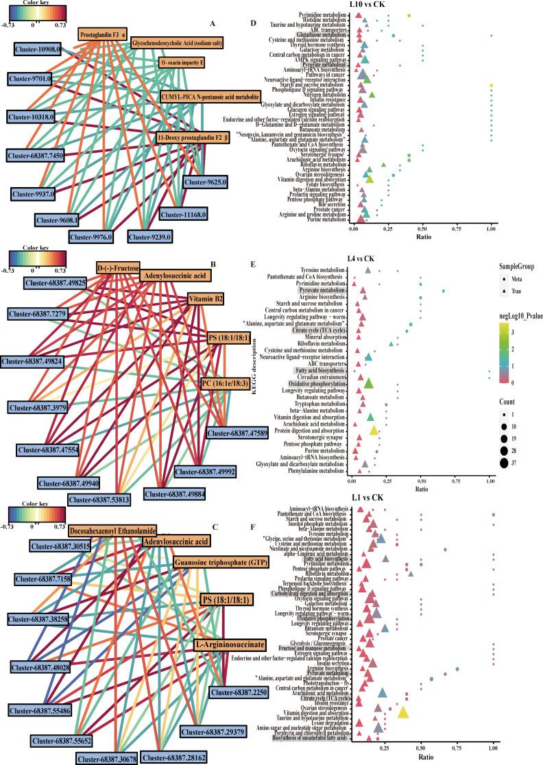 https://cdn.ncbi.nlm.nih.gov/pmc/blobs/2c29/11225295/b02e60fee725/40850_2024_206_Fig7_HTML.jpg
