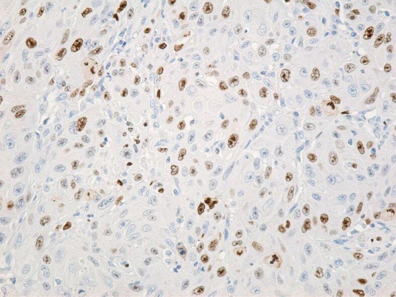 https://cdn.ncbi.nlm.nih.gov/pmc/blobs/2c29/12236273/2edb3af16f41/RJME-66-1-229-fig25.jpg