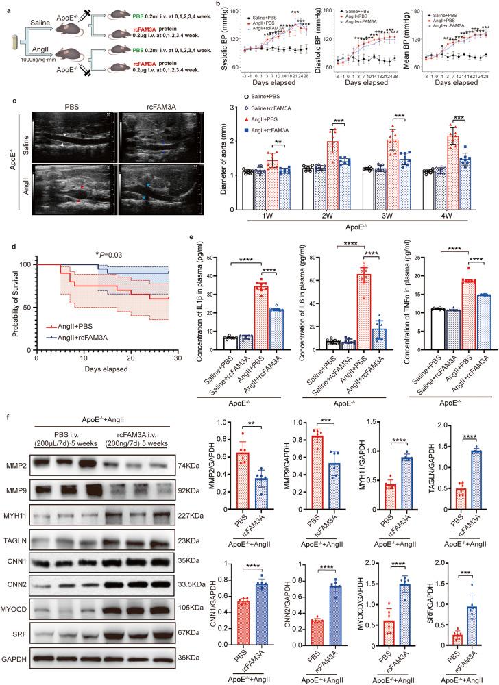 https://cdn.ncbi.nlm.nih.gov/pmc/blobs/2c2b/10475135/a59f515037da/41467_2023_41177_Fig3_HTML.jpg