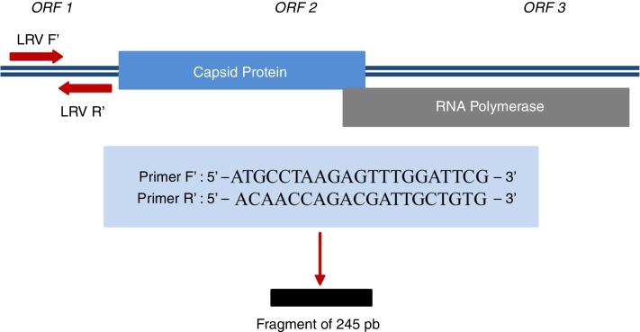https://cdn.ncbi.nlm.nih.gov/pmc/blobs/2c2c/9449032/2f3fb11c8499/gr1.jpg