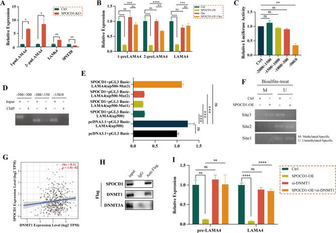 https://cdn.ncbi.nlm.nih.gov/pmc/blobs/2c2d/12351940/8abbaadd8f72/12967_2025_6863_Fig6_HTML.jpg