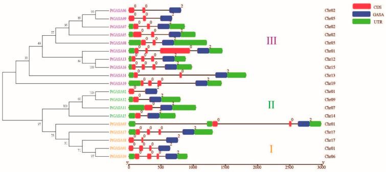 https://cdn.ncbi.nlm.nih.gov/pmc/blobs/2c2d/8835824/70559b7add74/ijms-23-01507-g005.jpg