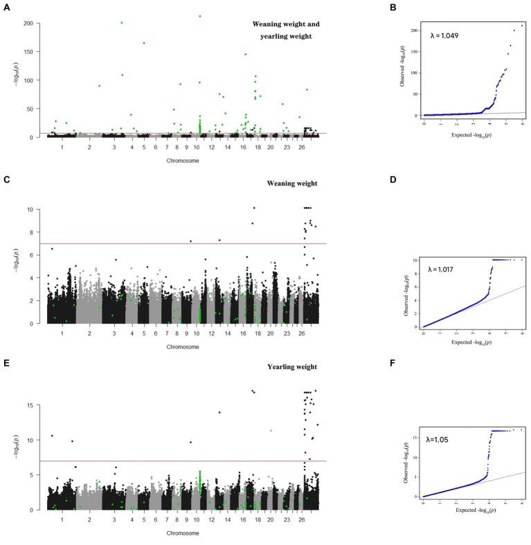 https://cdn.ncbi.nlm.nih.gov/pmc/blobs/2c2e/10469697/6de69882ee54/fvets-10-1206383-g001.jpg