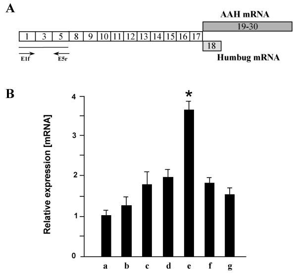 https://cdn.ncbi.nlm.nih.gov/pmc/blobs/2c30/2625362/3c39f3d6f161/1471-2199-9-110-2.jpg