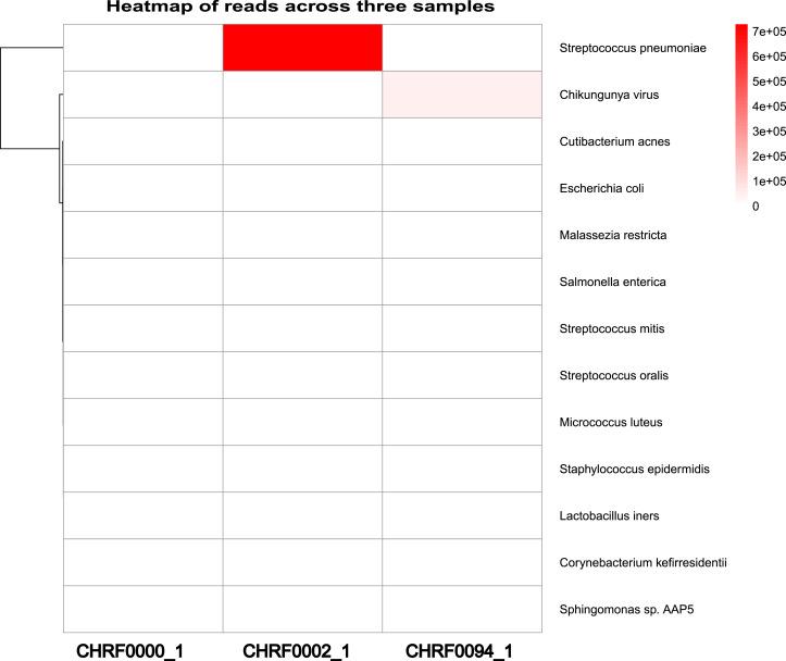 https://cdn.ncbi.nlm.nih.gov/pmc/blobs/2c32/12356182/bde7d977609f/peerj-13-19849-g004.jpg