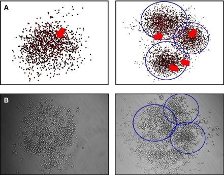 https://cdn.ncbi.nlm.nih.gov/pmc/blobs/2c33/2714240/5c840e20254e/6605071f6.jpg