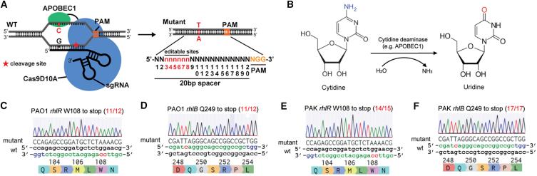 https://cdn.ncbi.nlm.nih.gov/pmc/blobs/2c33/6137401/8440737ef54e/gr4.jpg
