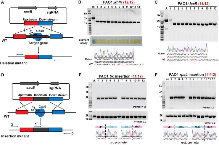 https://cdn.ncbi.nlm.nih.gov/pmc/blobs/2c33/6137401/d9c66167c649/gr3.jpg